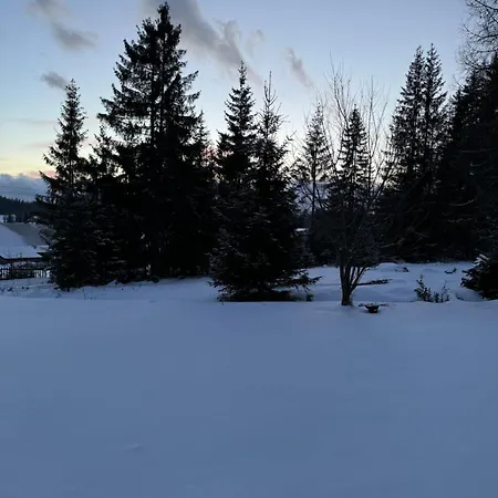 Orawska Knieja 2.0 * Lipnica Wielka